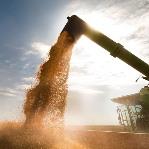 bulk-grain bulk-grain