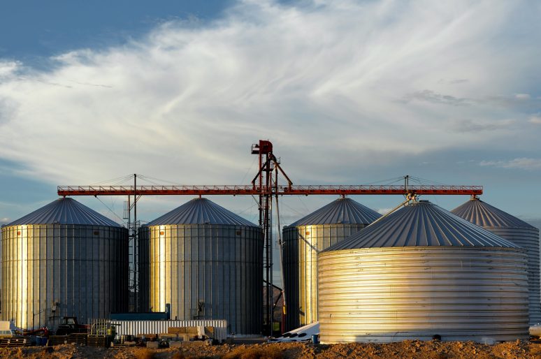 grain grain