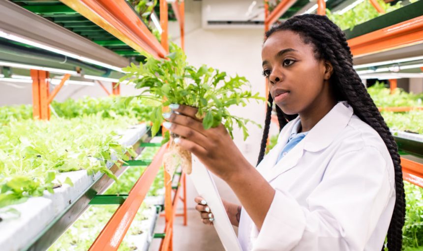 Young African woman in whitecoat holding one of green seedlings while studying its biological characteristics