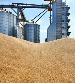 Wheat-Grain-Storage-Tank Wheat-Grain-Storage-Tank