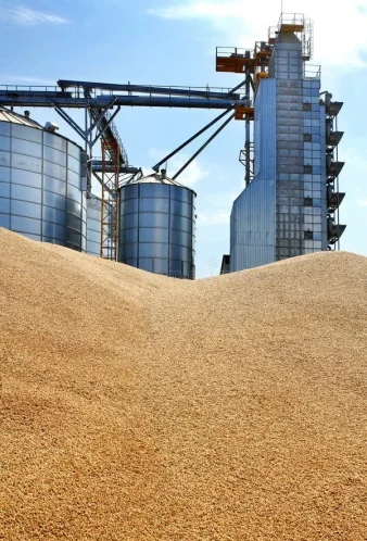 Wheat-Grain-Storage-Tank Wheat-Grain-Storage-Tank