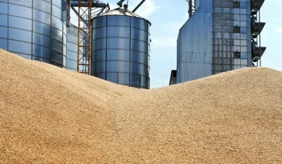 Wheat-Grain-Storage-Tank