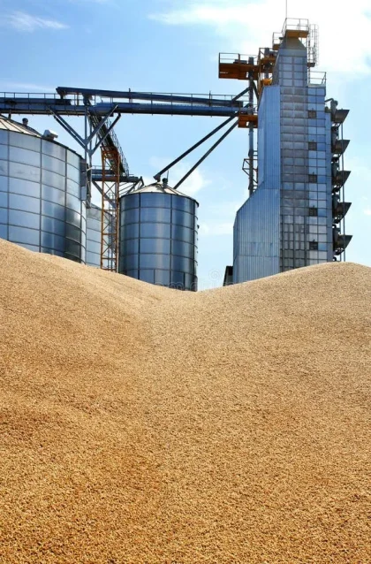 Wheat-Grain-Storage-Tank