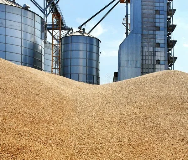 Wheat-Grain-Storage-Tank
